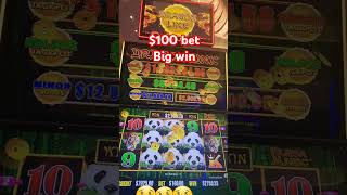 Massive win Dragon Link slotmachine casino [upl. by Hareemas]