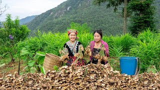 After the third storm people returned to their daily lives and work  Bếp Trên Bản [upl. by Jonina763]