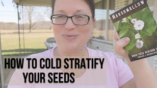 How to Cold Stratify Seeds [upl. by Nnor]