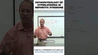 Pathophysiology Of Hyperlipidemia In Nephrotic Syndrome [upl. by Nylakcaj576]