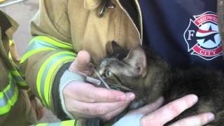 Midwest City Firefighters Rescue Dog and Cat From Structure Fire [upl. by Grizel892]