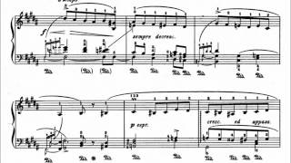 ChopinGodowsky  Study No 41 in B minor after Op 25 No 10 [upl. by Atipul138]