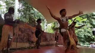 Farewell Pamagirri Dance Rainforestation Nature Park Kuranda Australia 5 November 2016 [upl. by Llessur182]