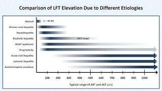 Interpretation of LFTs Liver Function Tests [upl. by Kristine214]