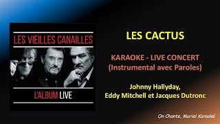 LES CACTUS KARAOKE JACQUES DUTRONC  LES VIEILLES CANAILLES HQ [upl. by Lay]