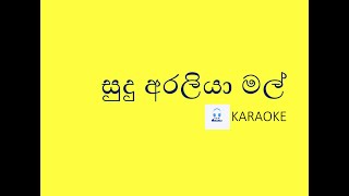 සුදු අරලිය මල් Karaoke  sudu araliya mal karaoke [upl. by Nesiaj68]