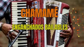 CHAMAMÉ  Enganchados Bailables 5 [upl. by Ahterod852]