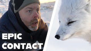 EYE to EYE with a cute killer  Wildlife photography in Svalbard [upl. by Nonnek]