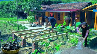 TIMELAPSE Video 2500 Hours Building a New Wooden CABIN Before the Storm  Forest life skills DT [upl. by Metzger]