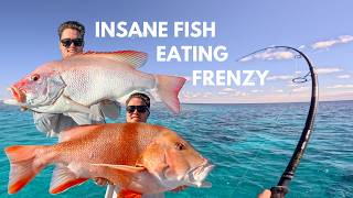 TRAVELING north to the WHITSUNDAYS  INSANE REEF FISHING [upl. by Reiche]