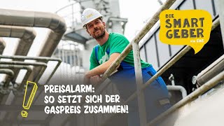 Wie setzt sich der Gaspreis eigentlich zusammen SMARTGEBER Paul klärt auf [upl. by Llerrem]