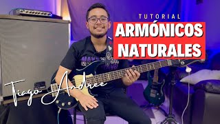 Armónicos Naturales  Tutorial para bajo  Tiago Andree [upl. by Erny]