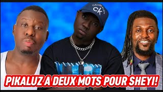 PIKALUZ DEÇU DIT SES VERITÉS A ADEBAYOR ET RECADRÉ PAR HODAKO PROPREMENT [upl. by Chrisse236]