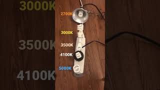 5000K Vs 4100K Vs 3500K Vs 3000K Vs 2700K CFL Comparison shorts cfl colortemperature [upl. by Haeluj321]