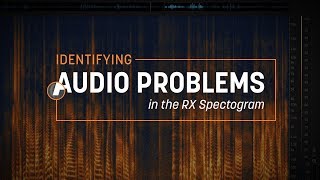 Identifying Audio Problems in the RX Spectrogram [upl. by Tiduj]