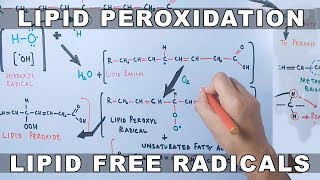 Saturated and unsaturated fatty acids in hindi  CSIR NET Life sciences exam preparation [upl. by Alexandro843]