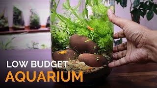 Low Budget Aquarium in a Jar [upl. by Edac]