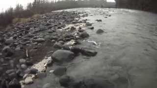 Fly Fishing New Zealand  Tongariro River [upl. by Sitnalta241]