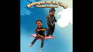 Watengwa amp WuTang  ChindoMan Ft Cappadona [upl. by Ilak387]