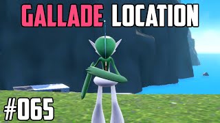 How to Catch Gallade  Pokémon Scarlet amp Violet [upl. by Aramot]