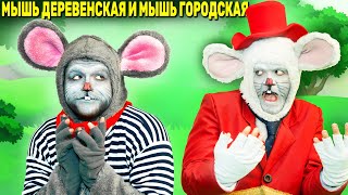 Мышь деревенская и мышь городская 🐭  сказка  Сказки для детей и Мультик [upl. by Anihc402]