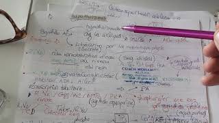 hormone antidiuretique arginine vasopressinesynthèse des aquaporines et vasoconstriction arteriole [upl. by Linson]