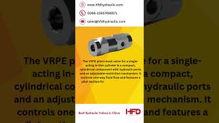 VRSE  PILOT CHECK VALVE FOR SINGLE ACTING CYLINDER  hydraulicvalves hydraulicvalve [upl. by Alletse]