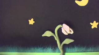 Growing flower StopMotion Animation [upl. by Albion]