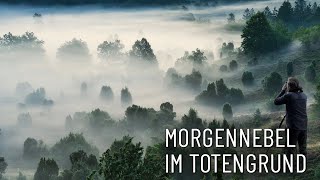 Morgennebel im Totengrund ● Fotografieren in der Heide [upl. by Carr134]