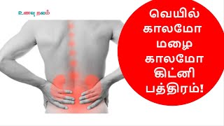 Food good for kidney repair  Kidney cleanse home remedy in Tamil [upl. by Vaclava359]