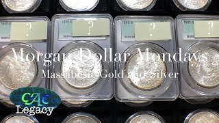 GUESS THE GRADE  NEW ORLEANS MORGANS  “MORGAN DOLLAR MONDAYS” with MASSABESIC GOLD and SILVER [upl. by Ladnyc]