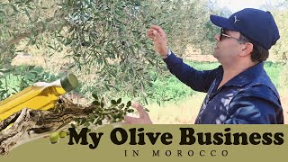 My Olive Oil Business in Morocco [upl. by Dannye]