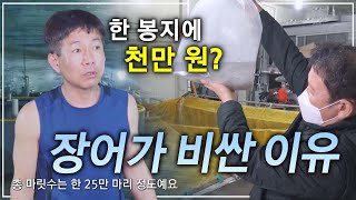 한 마리에 03g 밖에 안되는 치어가 무려 4억 5천만 원어치 장어 왜 이렇게 비쌀까ㅣ몸값 비싼 장어가 25만 마리 민물장어 양식장ㅣ극한직업ㅣ골라듄다큐 [upl. by Lalitta]