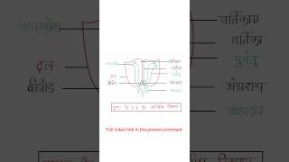 पुष्पकीसंरचनाHowtodrawstructureofflower1080p Pushp ki aantrik sanrachna ka diagram [upl. by Kalam]