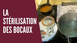 Stériliser ses bocaux  La technique de conservation simple et efficace [upl. by Capon]