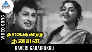 Thayai Katha Thanayan Old Movie Songs  Kaveri Karai Iruku Video Song  MGR  Saroja Devi [upl. by Bills]