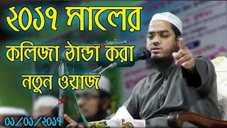 Hafizur Rahman Siddiki Bangla Waz 2017  Bangla New Waz 2017 Kolija Danda Kora New Waz [upl. by Tychon56]