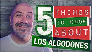 5 Things To Know About Los Algodones Mexico [upl. by Acirfa131]