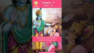 Bhagavad Gita Fifth Chapter Slokam 11 bhagavadgitainenglish shorts bhagavadgitachapter5 [upl. by Latrell]