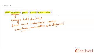 Which triploblastic group of animals lacks a coelom [upl. by Iline495]