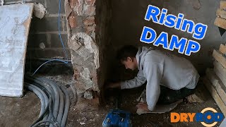 Tackling Rising Damp In Walls with Dryrod  the diy way 🏠 🔨 🧱 risingdamp dryrod vlog oldhouse [upl. by Erv]