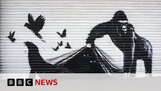 Banksy’s final work in animal art trail appears on London Zoo gates  BBC News [upl. by Radloff]