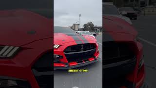 Ford Mustang GT vs Shelby GT500 Differences Explained [upl. by Sesmar]