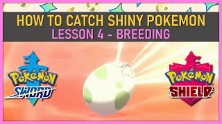 How to Catch Shiny Pokemon by Breeding in Pokemon SwordShield  Shiny Hunting 101 [upl. by Furgeson]