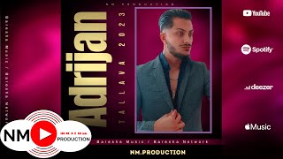 Adrijan Adi  Tallava Ngoni Shok More Vllazni  Official Audio Song [upl. by Elwood]