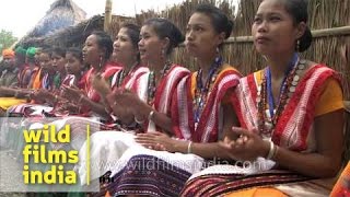 Kachari troupe sings folk song outside their morung  Hornbill Festival Nagaland [upl. by Andromache767]