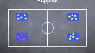 PE Games  Puppies [upl. by Sivam]