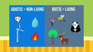 Environmental Science Lesson 9 Community Ecology [upl. by Sims]