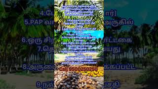 தென்னை தீராத தண்ணீர் வசதியுடன் விற்பனைக்கு [upl. by Ramaj]