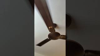 My Ceiling Fan 😁 fan shortvideo fansound shorts viralvideo [upl. by Gerdeen]